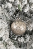 16561
