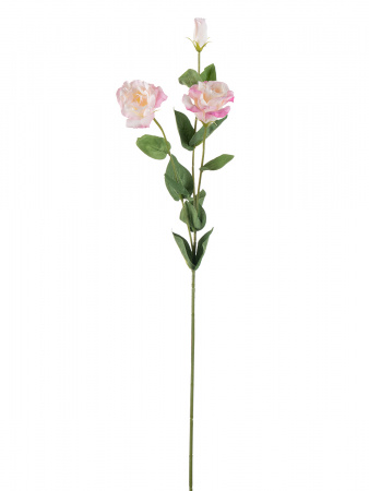 15708