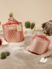 classic_cactus-250-2
