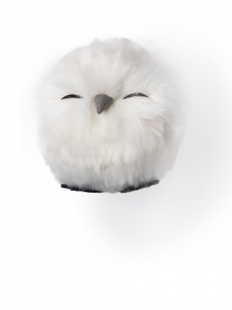 14245